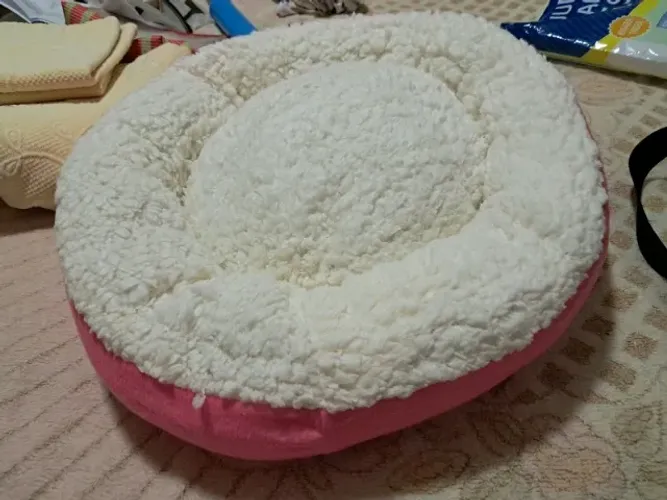 Caminha para cães e gatos