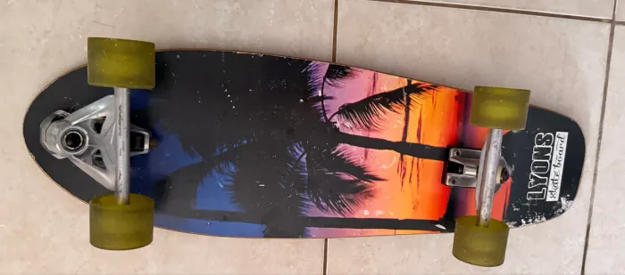 Skate Lyons