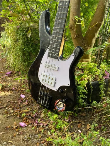 Baixo XB21 Custom