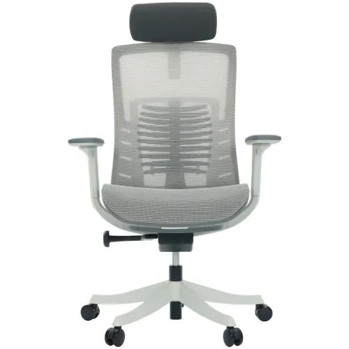 Cadeira Comfy Spine Mesh cinza 