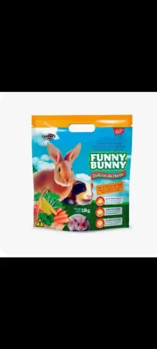 Funny bunny 