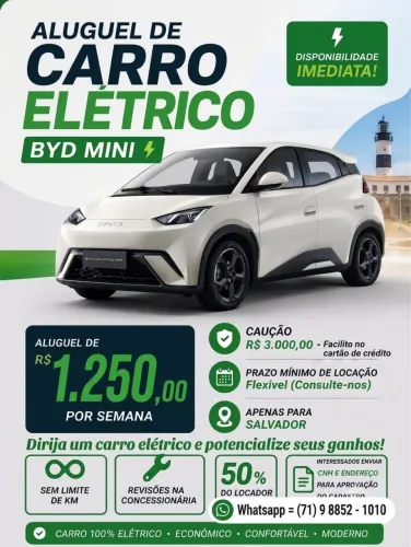BYD Dolphin Mini (Elétrico) 2025