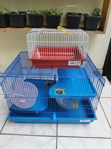 Gaiolas hamster