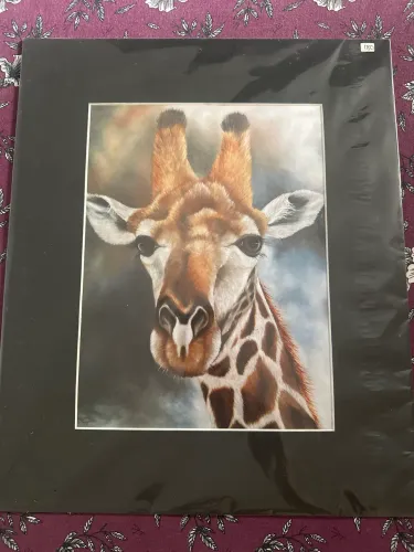 Quadro Girafa Africana 