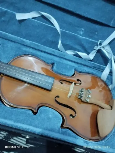 VIOLINO EAGLE 4/4 VE441 NOVO