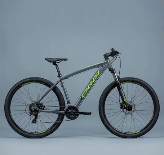 Bicicleta oggi