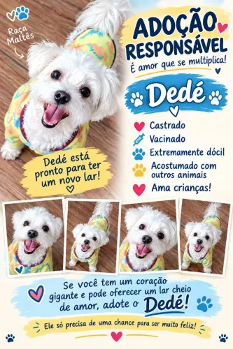 Adoção Responsável 