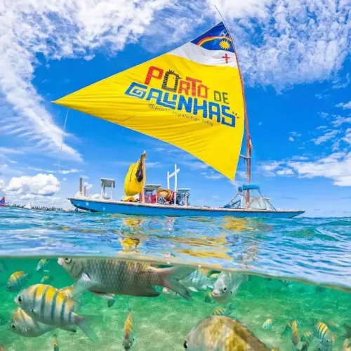 invista o melhor imovel em porto de galinhas