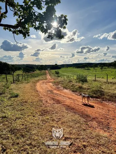 FAZENDA FORMADA NO NORTE DE MINAS NA REGIÃO DE MIRABELA PROXIMO A MONTES CLAROS MG DE 560 