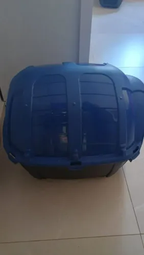 Casinha de cachorro