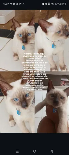 Doação responsável 