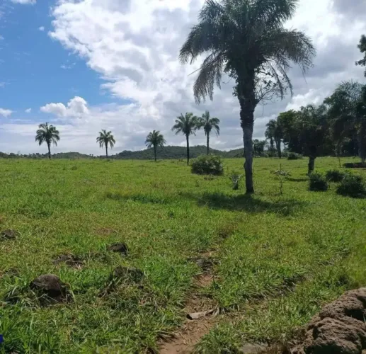 Fazenda em Arenópolis GO - 49 Alqueires - Beira rio Caiapó