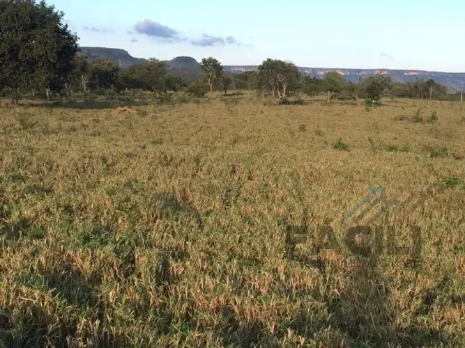 Fazenda 88 Alq | Água + Nascentes | Pronta p/ Pecuária | Miracema/TO