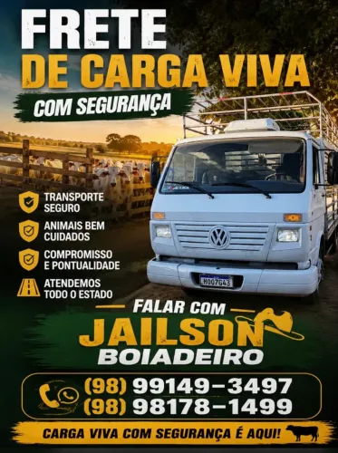 transportes de carga viva