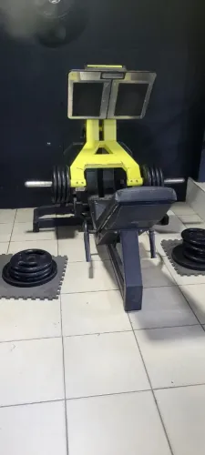 Leg articulado