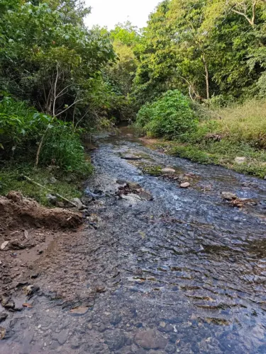 Vendo ótima chácara na fercal próximo ao córrego do ouro