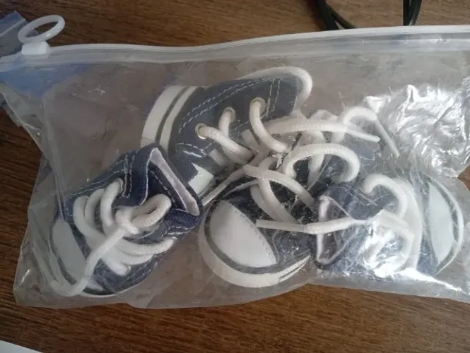sapatos de cachorro