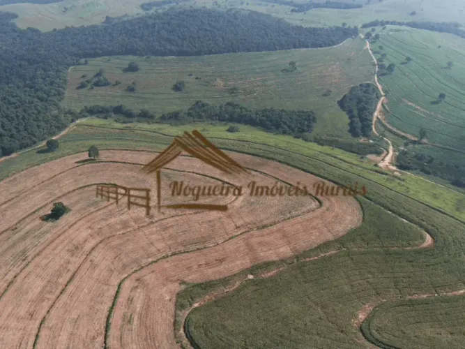 Fazenda com 340 alqueires para agricultura, na região de Avaré-SP
