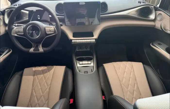 BYD Dolphin EV (Elétrico) 2024