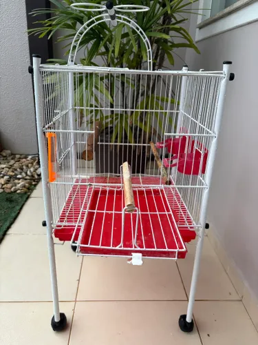 Gaiola para calopsita e outros