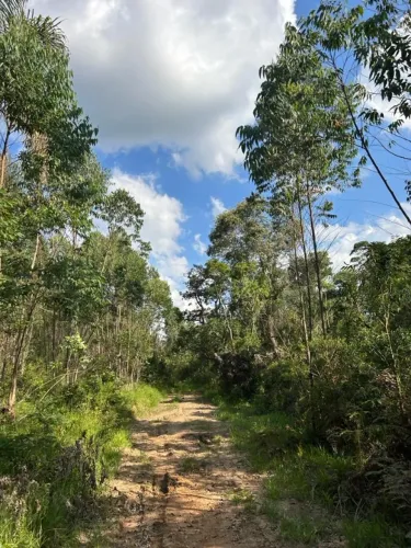 Fazenda em Atibaia 76 Alqueires. Apropriada para loteamento.