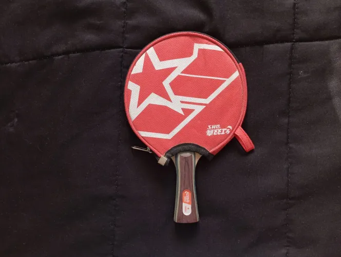 Raquete Ping Pong Profissional