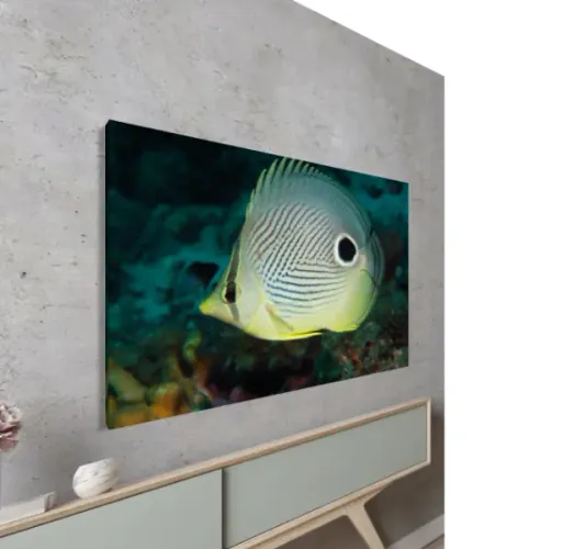 Quadro com Fotografia da Natureza (tamanho 50 x 70cm em tela canvas)