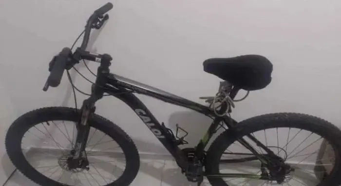 Bicicleta