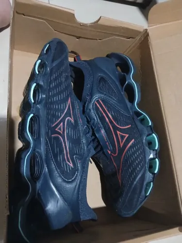 Mizuno prophecy 14