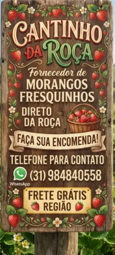 Morangos fresco