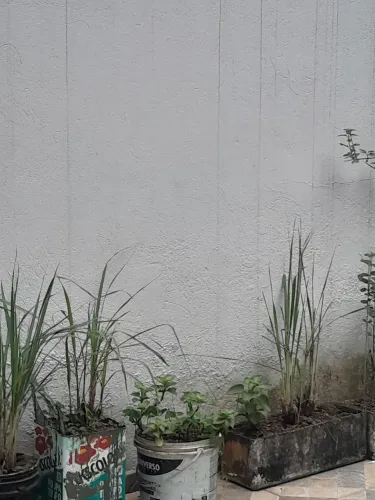 Jardinagem