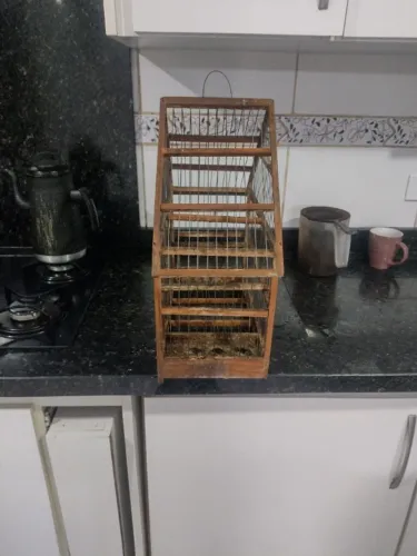Vendo gaiola para pássaro, retirar no Guaraituba Colombo