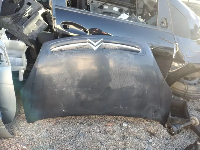 Capô Citroen Xsara Picasso