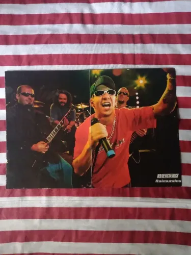 Posters Raimundos