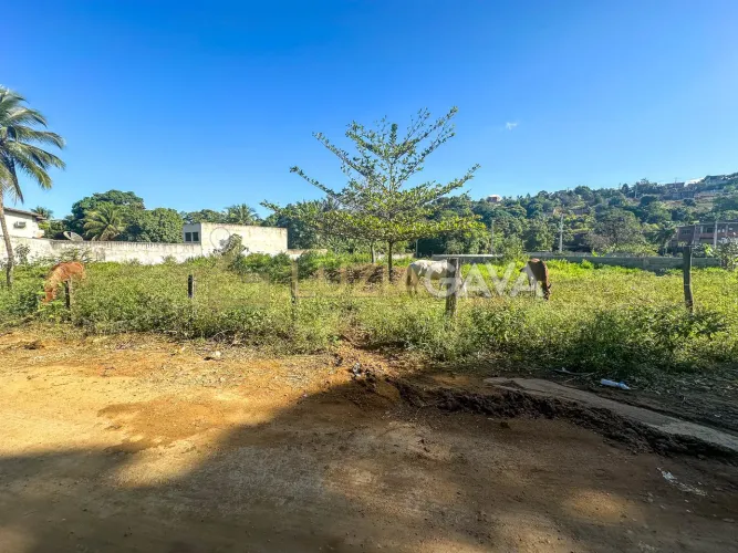Área em Novo Horizonte - Cariacica - ES