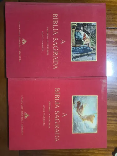 Bíblia Sagrada Resumida e Ilustrada - Novo e Antigo Testamento