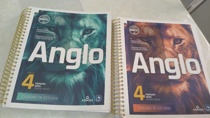 Kit com 2 cadernos de Estudo Ensino Anglo. <br>Caderno 4<br>Primeira Série Ensino Médio <br>Novo.