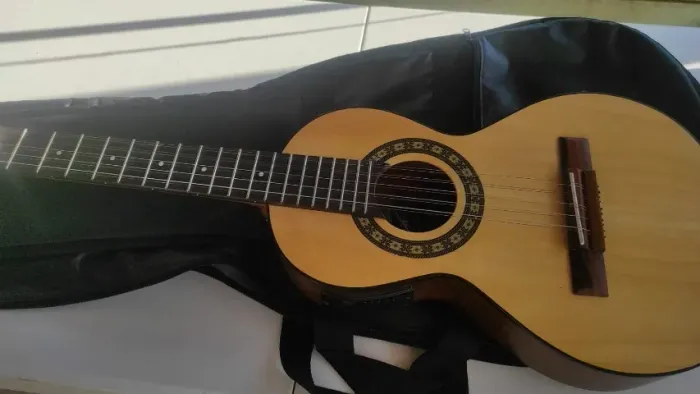 Viola Rozzini EletroAcústica
