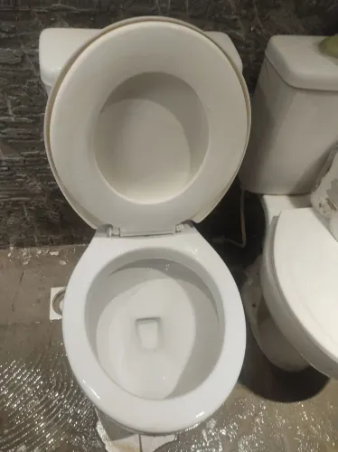 Vaso sanitário