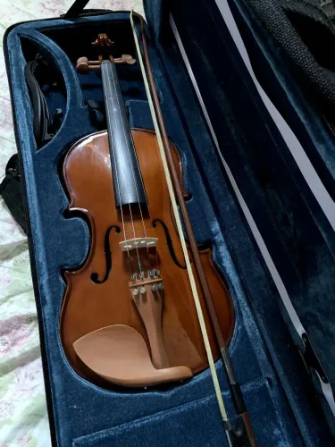Violino Eagle 4x4, verniz 444