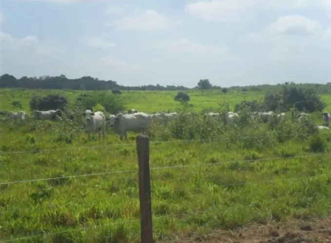 PROPRIEDADE RURAL EM FORMOSO/MG