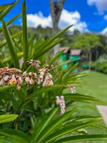 Terreno 2.175m² no Espelho DÁgua Condomínio com excelente qualidade de vida familiar
