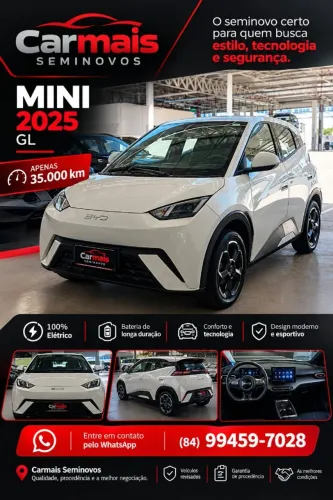 BYD Dolphin Mini (Elétrico) 2025