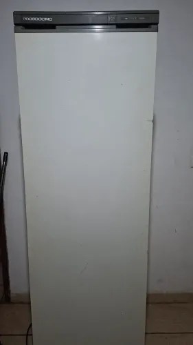 Freezer vertical