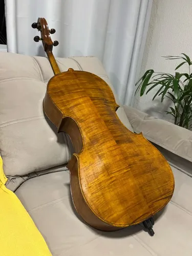 Violoncelo