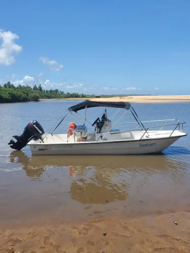 Lancha catamaran motor 60hp Everude e-tec