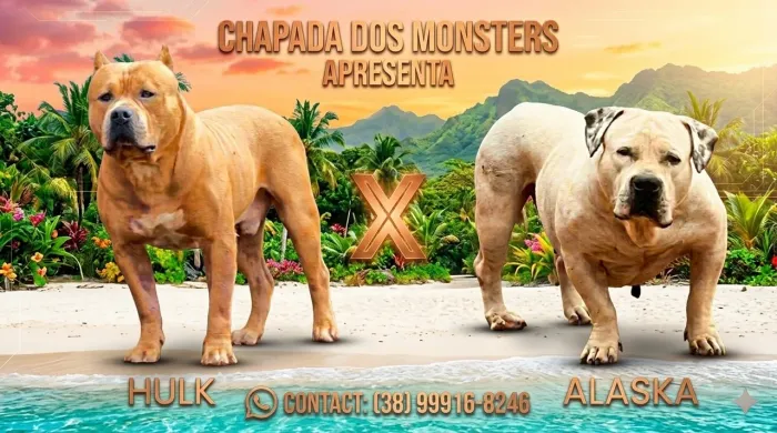Pit Monster 