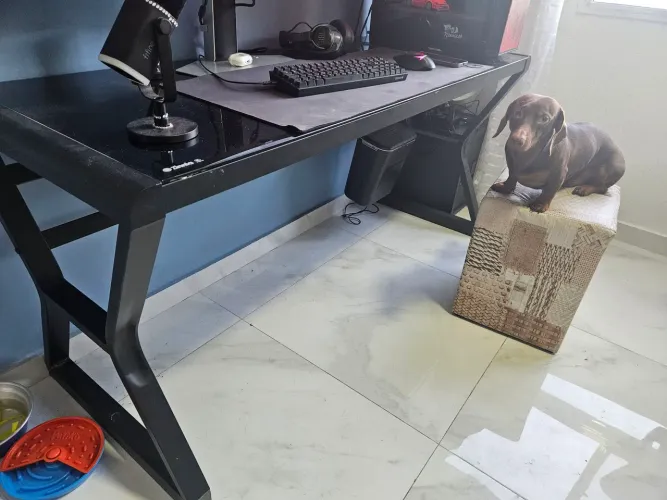 Mesa de Vidro com pés de ferro Zinnia