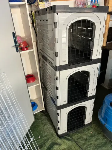 Canil modular novo!
