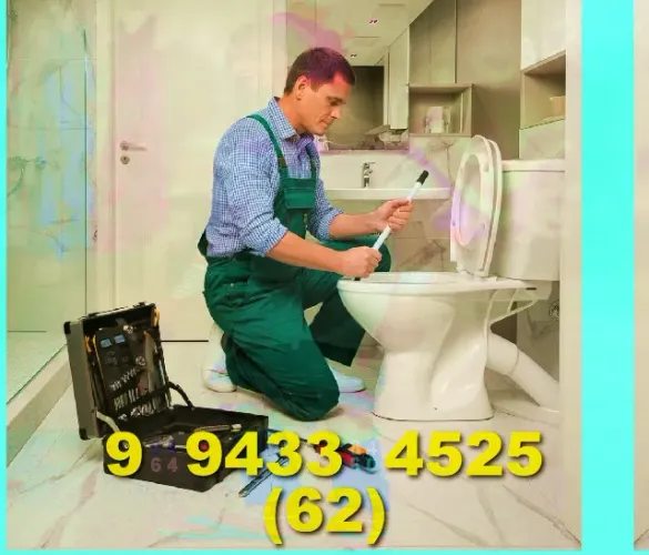 DESENTUPIDORA+CENTRO+CAMPINAS+SUDOESTE+JARDIM+GOIAS+BUENO+(62)+9+ *)
